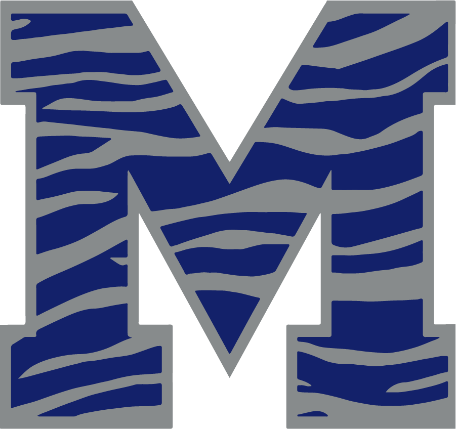 Memphis Tigers 2013-Pres Secondary Logo v4 DIY iron on transfer (heat transfer)